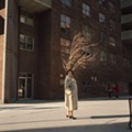 Woman with Tree, New York City 1987.jpg